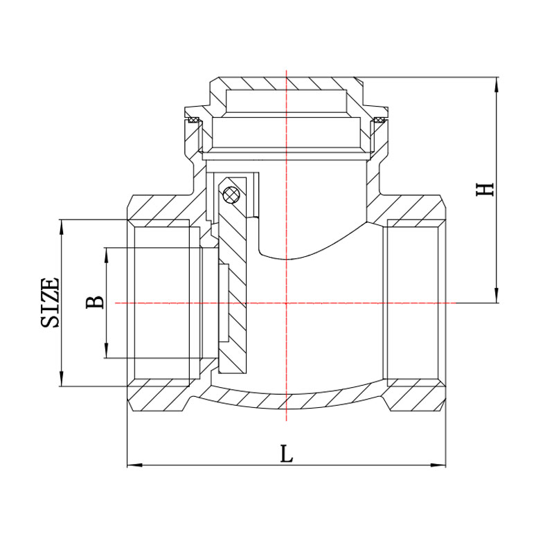 GH-4005 Bass Swing Check Valve
