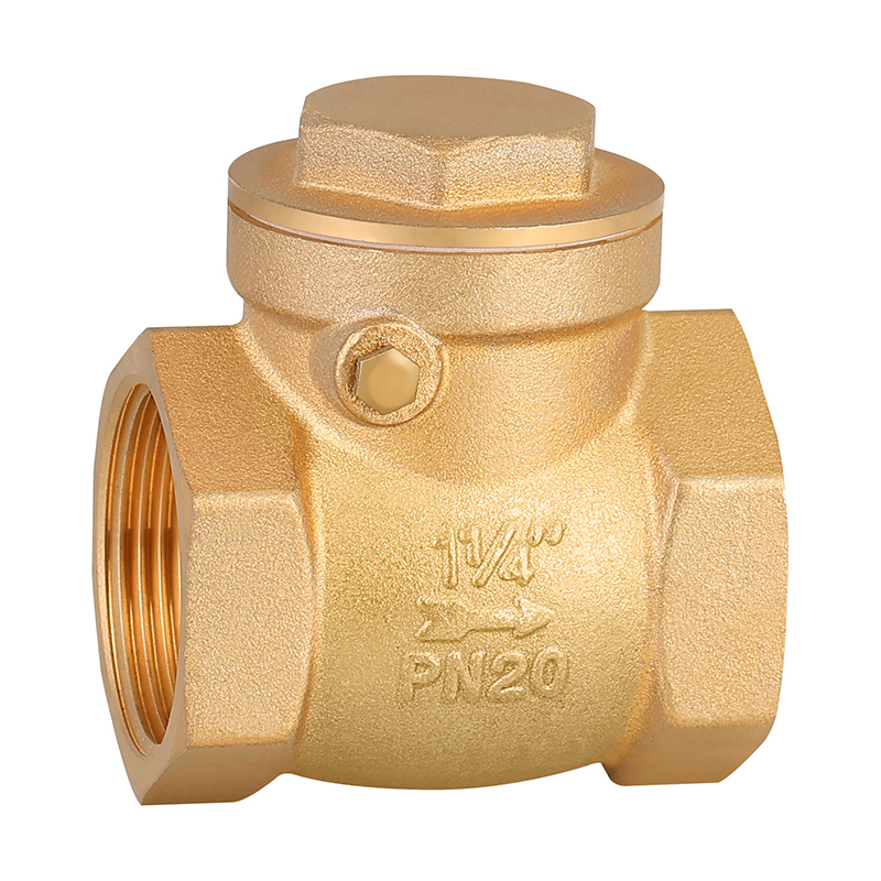 GH-4005 Bass Swing Check Valve